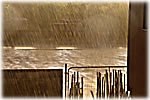 abqrain.jpg